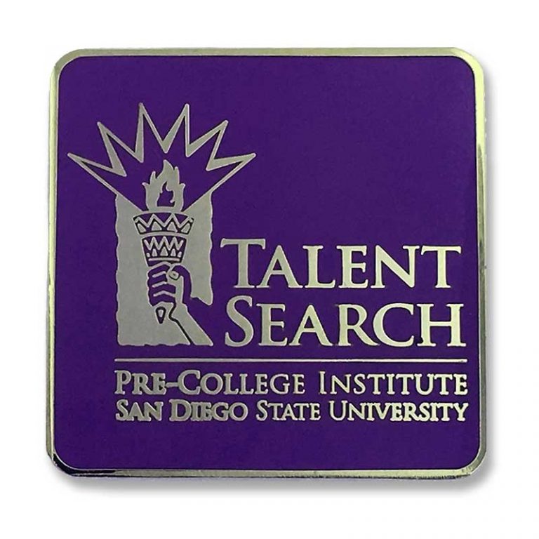 Custom University & College Lapel Pins - Custom Lapel Pins